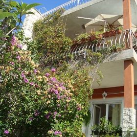 Apartment Dane Makarska