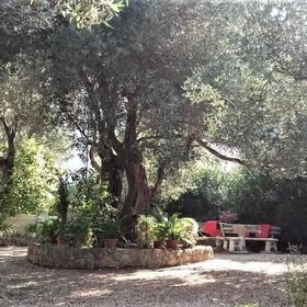 Apartment Dane Makarska