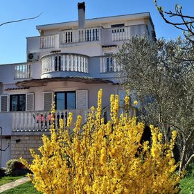 Apartment Maja Dobropoljana