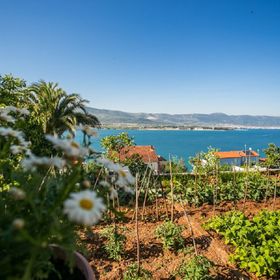 Apartment Marija Trogir