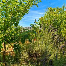 House Marija Korcula