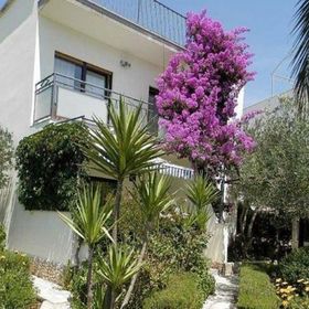 House Igor Rogoznica