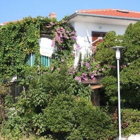 Apartment Petar Barbat