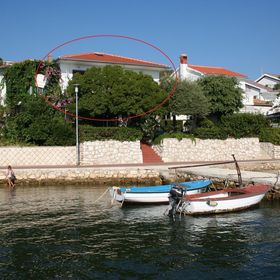 Apartment Petar Barbat