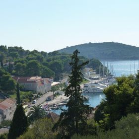 Apartment Željko Maslinica