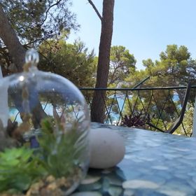 House Vlasta Primosten