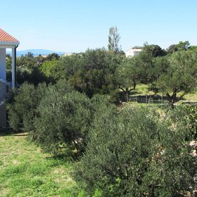 Apartment Žare Banjol