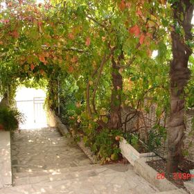 Apartments Goge Gradac