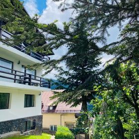 Pensiunea DEDU Bușteni