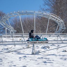 Casa Rustică la Marginea Pădurii Vărșag