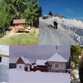 Casa Rustică la Marginea Pădurii Vărșag