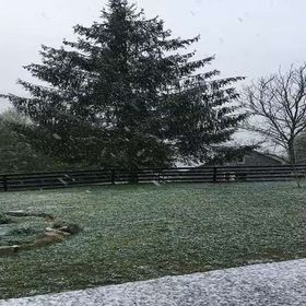 Cabana Ferma Grozea Abrud