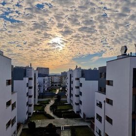 visit baltic – Platan Studio WO13C