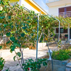 Apartment Luce Sv. Petar