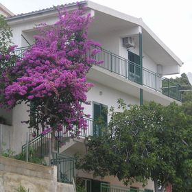 Apartments Neva Primosten