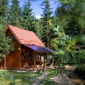 Casa de vacanță Pura Vida - Forest Home Poiana Horea