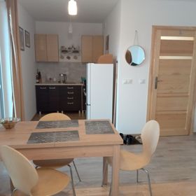 Apartament Izer Świeradów-Zdrój