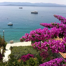 Apartments Matea Bol