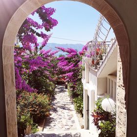 Apartments Nada Sucuraj