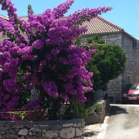 Apartment Glavica Supetar