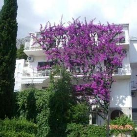 Apartments Josip II Baska Voda