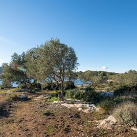 Halászkunyhó Nyaraláshoz A Tenger Mellett Öböl Babac, Pasman - 20901 Babac