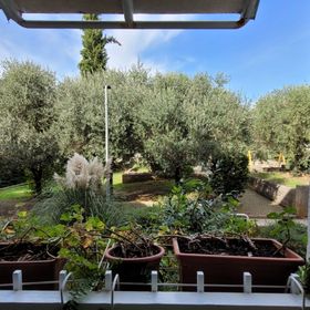 Apartment Antica Njivice