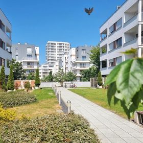 visit baltic - na Platanie CH15P