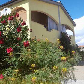 Apartments Vanja Vir