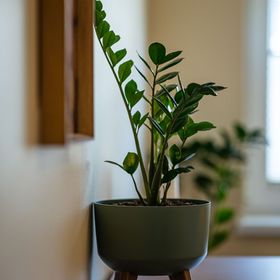 Apartamenty u Romy - Mocha