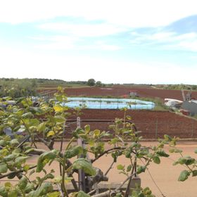 Apartment Tre pini 1 Seget, Umag