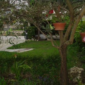 Apartments Franciska & Tihomir: Supetarska Draga