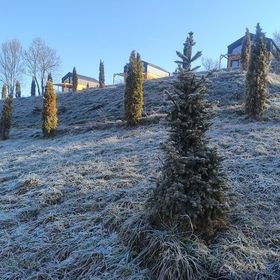 Vila Varadeo Hill Resort Şuncuiuş