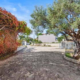 Apartman Rogoznica - CSV178