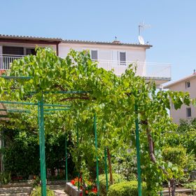 Apartments Neve Vodice