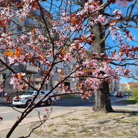 visit baltic - Kwartał Róży Wiatrów Studio TOLA z parkingiem