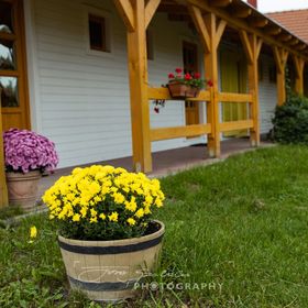 Margaréta I. Panzió Szigetbecse
