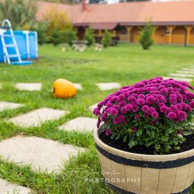 Nefelejcs I. Panzió Szigetbecse