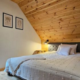 Między Brzozami / Domy w lesie