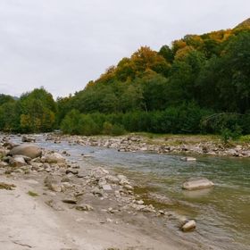 Cabana Buturuga Mica Bâsca Rozilei