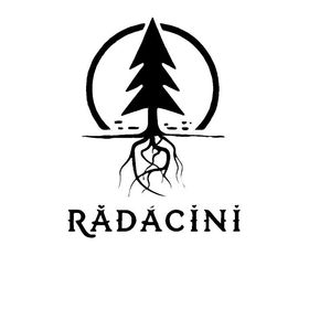 Hotel Rădăcini Câmpulung Moldovenesc