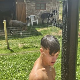 Alpaka Bakonya Svábház