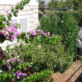 Apartment Slavica Supetar