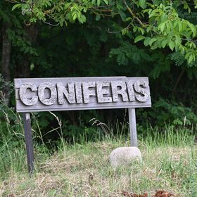 Coniferis Retreat Tomnatic