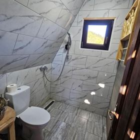 La Cabana lui Matei Paltin