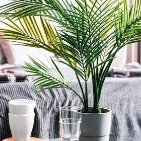 27Rooms Czapskich Great Location, Old Town, Apartamenty Kraków