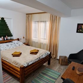 Alina's Apartament Sinaia