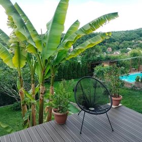 Apartament Belvedere Deva