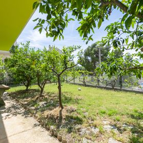 House Turtle garden Omis