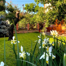 Júlia Apartmanház Szeged